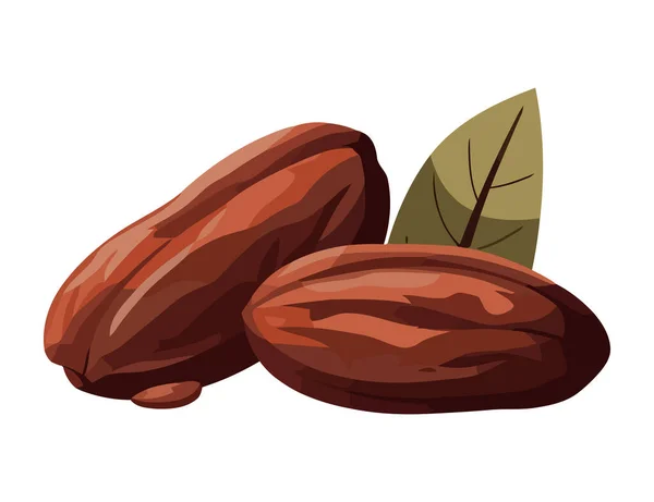 Świeże Organiczne Kakao Ikoną Liści Izolowane — Wektor stockowy