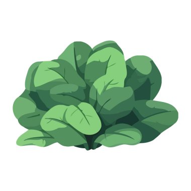 Taze vejetaryen salatası, doğa yaprağı ikonu izole.