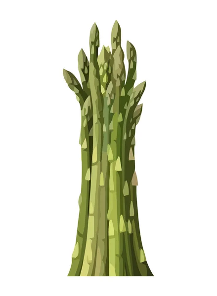 Fresh Asparagus Healthy Vegetarian Meal Choice Icon Isolated — Stock Vector