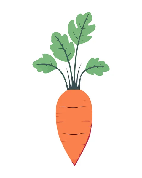 Zanahorias Orgánicas Frescas Símbolo Alimentación Saludable Icono Aislado — Vector de stock