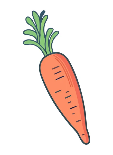 Изолированная Икона Здорового Питания Свежей Моркови — стоковый вектор