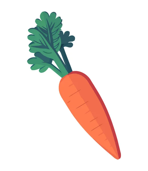 Καρότο Βιολογικά Λαχανικά Κάνουν Ένα Υγιές Γεύμα Εικονίδιο Απομονωμένο — Διανυσματικό Αρχείο