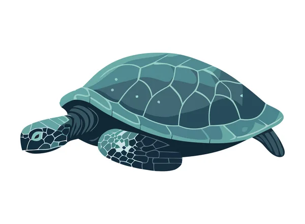 Yavaş Kaplumbağa Şirin Sürüngen Doğa Simgesi Izole — Stok Vektör