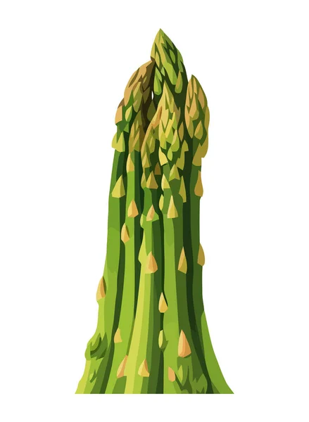 Зеленая Спаржа Икона Свежих Овощей Изолирована — стоковый вектор