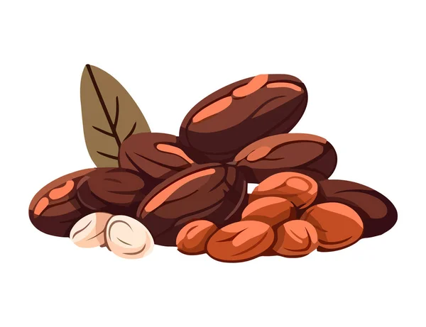 Chicco Cacao Biologico Fresco Una Sana Icona Spuntino Isolato — Vettoriale Stock