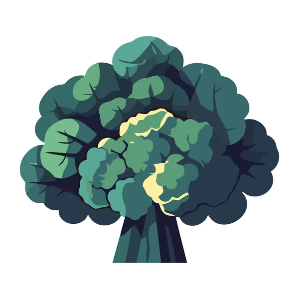Broccoli Biologici Icona Ingrediente Fresco Isolato — Vettoriale Stock
