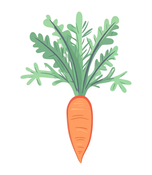 Φρέσκα Βιολογικά Καρότα Ένα Υγιές Χορτοφαγικό Γεύμα Εικονίδιο Απομονωμένο — Διανυσματικό Αρχείο