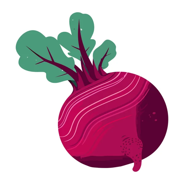 Rábano Fresco Vegetal Simboliza Icono Alimentación Saludable Aislado — Vector de stock