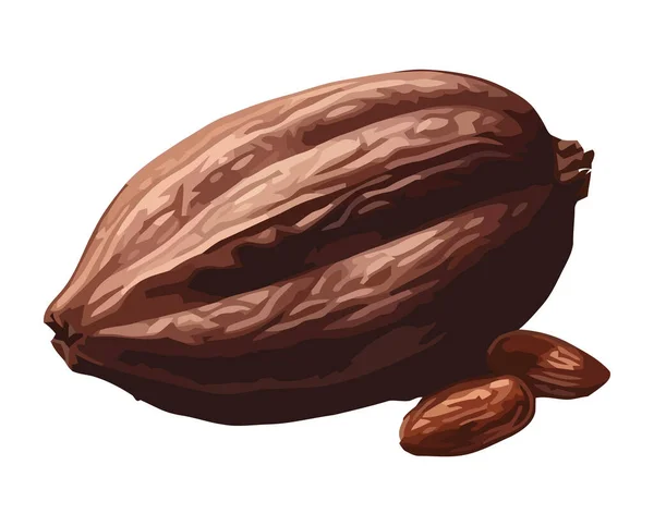 Ilustración Frijol Cacao Orgánico Naturaleza Icono Fondo Aislado — Vector de stock