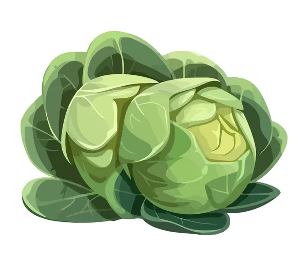 Fresh Organic Kale Healthy Vegetarian Meal — Stock Vector