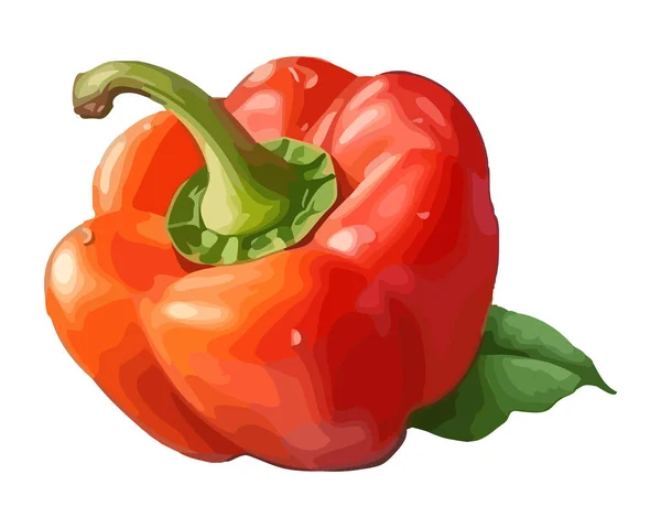 Świeże Organiczne Warzywa Papryka Ikona Izolowane — Wektor stockowy