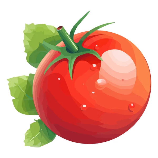 Salada Tomate Suculenta Ícone Refeição Gourmet Isolado —  Vetores de Stock