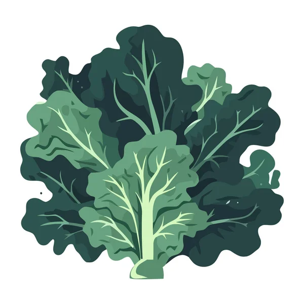 Taze Organik Salata Sağlıklı Bir Vejetaryen Yemek Ikonu Izole Edilmiş — Stok Vektör