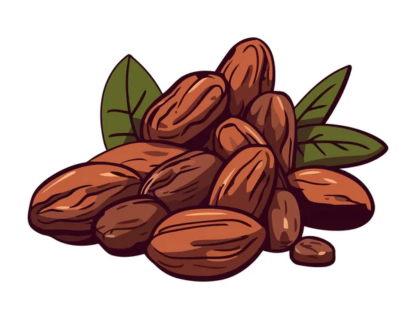 Organiczna Przekąska Kakaowa Świeża Zdrowa Ikona Izolowana — Wektor stockowy