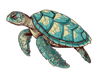 Beyaz arkaplan ikonunda sevimli deniz kaplumbağası izole edilmiş.