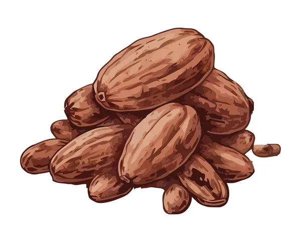 Egészséges Étkezési Kakaófehérje Bio Friss Ikon Izolált — Stock Vector