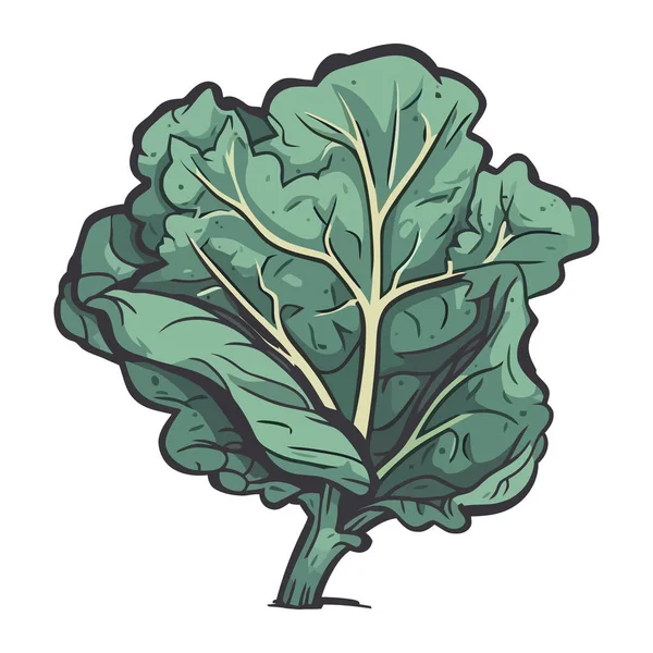 鲜绿的叶子象征着健康的素食图标 — 图库矢量图片