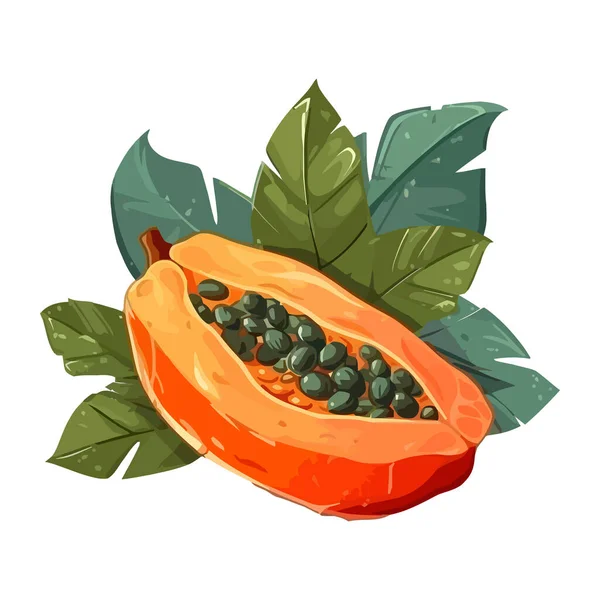 Juicy Papaya Szelet Friss Trópusi Farm Ikon Izolált — Stock Vector