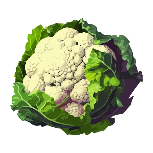 Comida Coliflor Fresca Verduras Orgánicas Icono Aislado — Archivo Imágenes Vectoriales