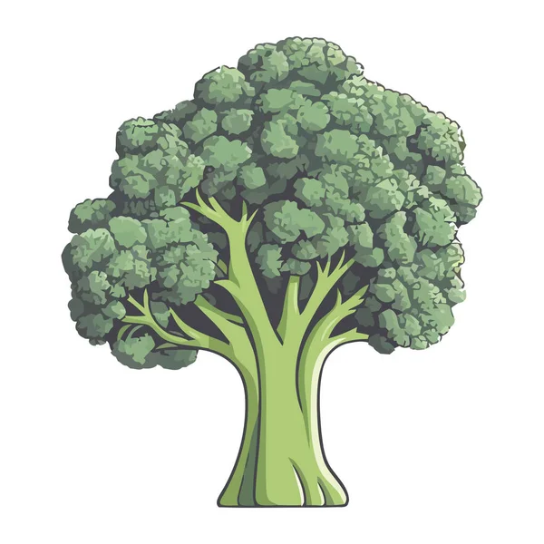 Zielone Liście Brokuły Świeżość Ikona Warzyw Izolowane — Wektor stockowy