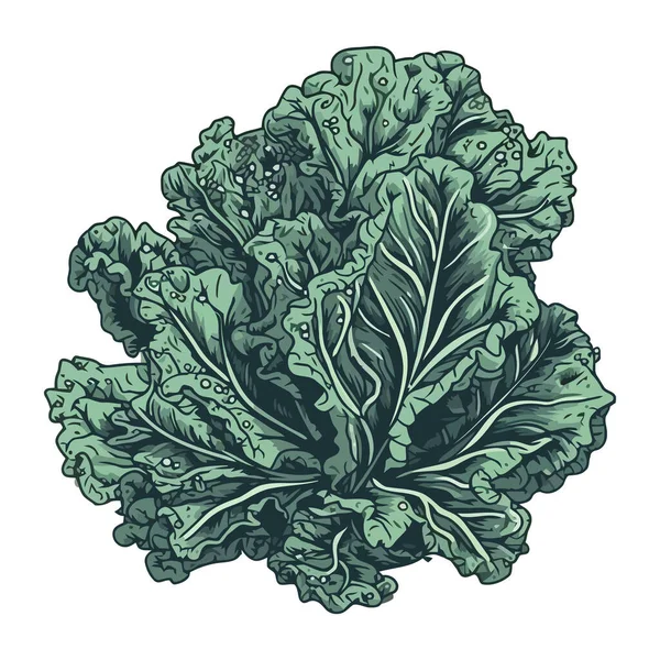 Свежий Органический Салат Вегетарианский Гурман Икона Еды Изолированы — стоковый вектор