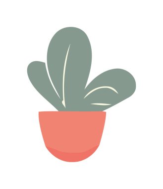 Taze yeşil bitki büyüme simgesi izole edildi