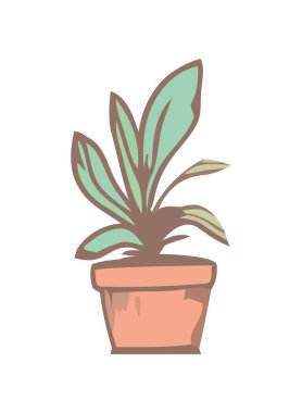 Süslü saksı çiçeği ikonu izole