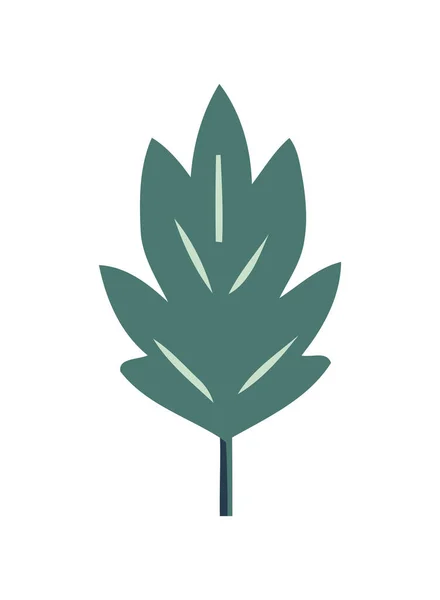Единый Лист Свежий Зеленый Значок Изолирован — стоковый вектор
