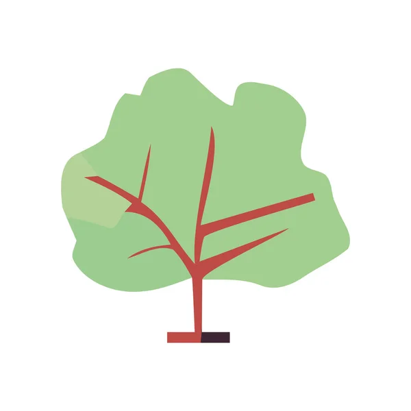緑の葉は木のアイコンが孤立して成長を象徴する — ストックベクタ