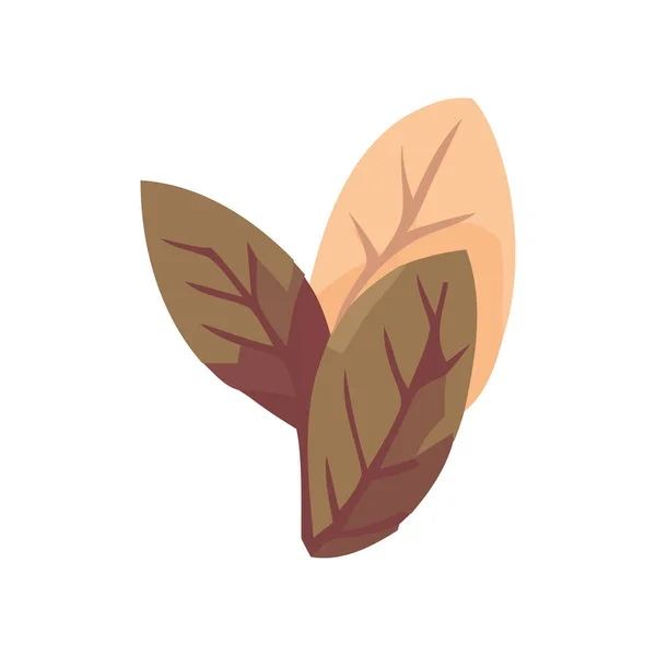 Herbstblätter Symbolisieren Naturwachstum Und Schönheitsikone Isoliert — Stockvektor
