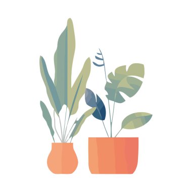 Organik büyüme doğa ev bitkileri simgesi izole