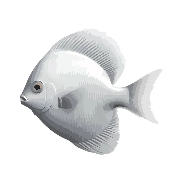 Aquatic Animal Swimming Fish Icon Isolated — Stock Vector