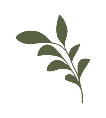 Doğa güzelliği dal yaprağı tasarımı simgesi izole