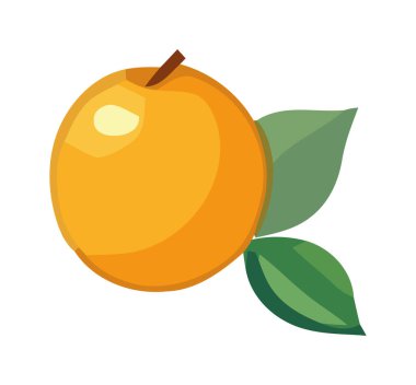 Olgun narenciye portakalı, yaz ikonu izole edilmiş.