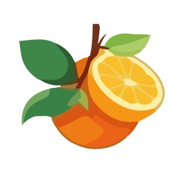 Sulu narenciye dilimi, dal ağacı ve yaprak simgesi izole edilmiş.