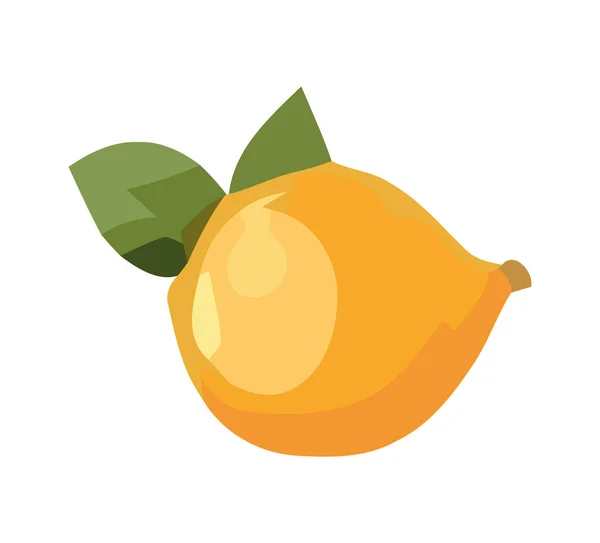 Juicy Citrus Fruit Symbol Freshness Icon Isolated — Stock Vector