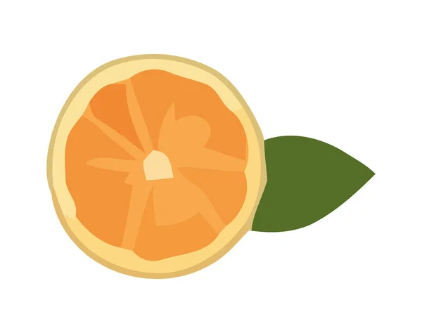 Icône Tranche Agrumes Juteuse Orange Isolé — Image vectorielle