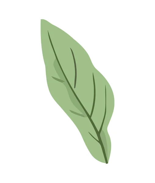 緑の葉は自然成長と新鮮さの象徴 — ストックベクタ