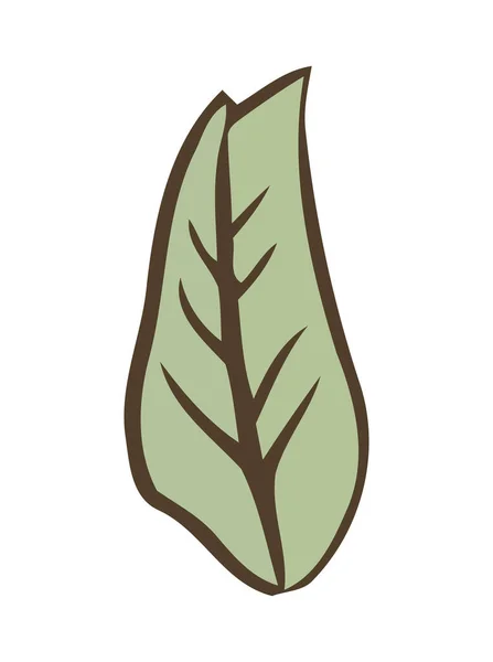 以孤立的绿叶图标为象征的有机生长 — 图库矢量图片