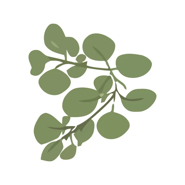Feuilles Vertes Icône Branche Isolées — Image vectorielle