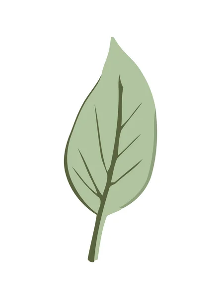 Green Leaf Symbolize Growth Nature Icon Isolated — Stock Vector