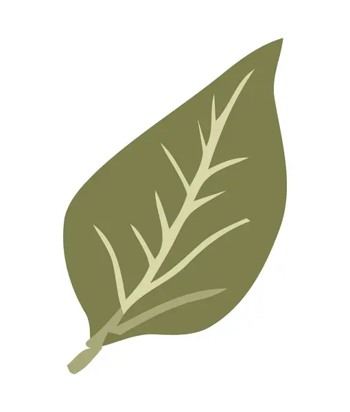 Зеленый Лист Символизирует Рост Природе Иконки Изолированы — стоковый вектор