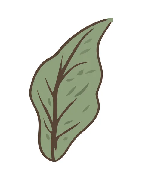Fris Groen Blad Symboliseert Natuur Organisch Groeiicoon Geïsoleerd — Stockvector