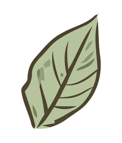 Frisches Grünes Blatt Natursymbol Isoliert — Stockvektor