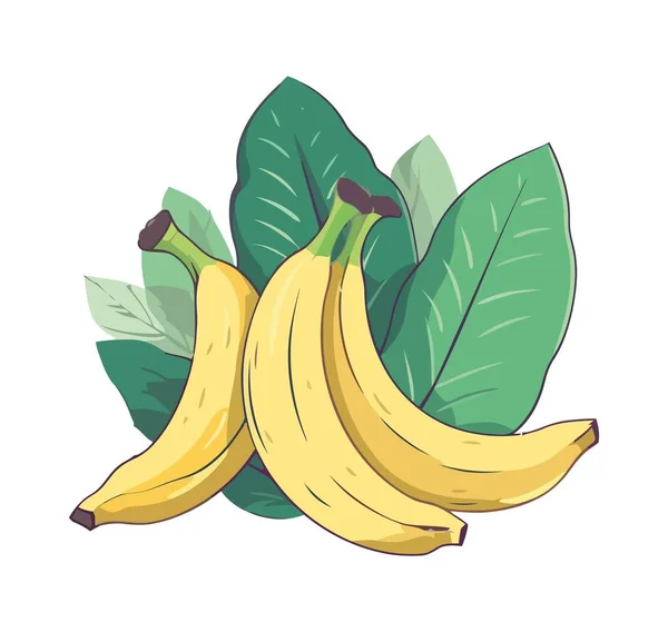 多汁的黄香蕉 健康的饮食图标隔离 — 图库矢量图片
