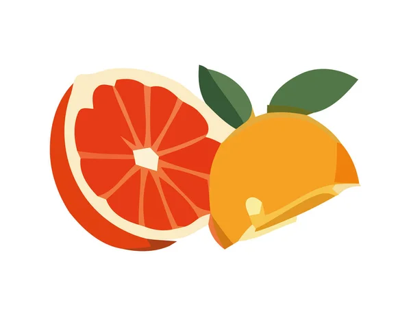 新鲜柑橘片 柚子和橙子图标被分离出来 — 图库矢量图片
