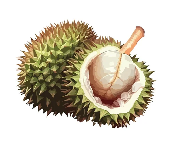 Spiked Durian Tropical Gourmet Dessert Icon Isolated — Stock Vector