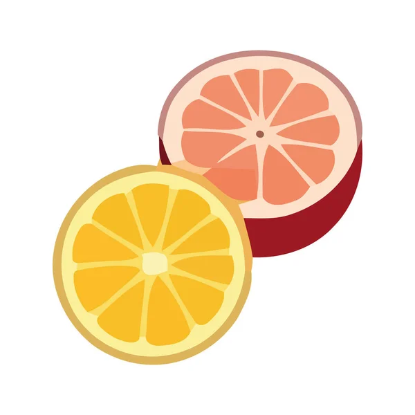 多汁柑橘类水果象征着健康的夏季食用图标隔离 — 图库矢量图片