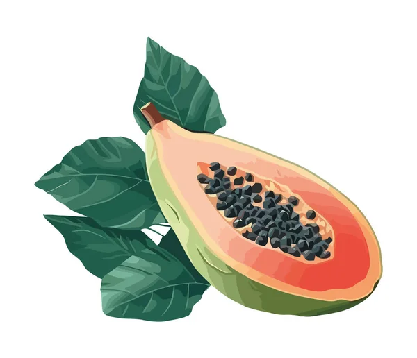 Rodaja Papaya Madura Icono Fruta Fresca Jugosa Aislado — Vector de stock