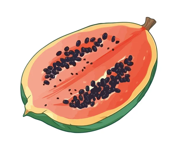 Ripe Papaya Slice Juicy Snack Symbol Icon Isolated — Stock Vector
